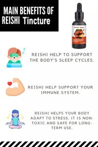 OEM Flüssigkeits tropfen von Noo tropics <span class=keywords><strong>Brain</strong></span> Mushroom Complex Adult Anwendbarer Reishi Shiitake Lions Mane Extract - Product Image 4