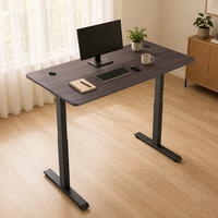 Bureau debout robuste à double moteur |   Bureau assis-debout électrique, hauteur réglable, pour le bureau et le travail ergonomique