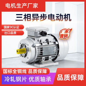 มอเตอร์อะลูมิเนียมสามเฟสแบบ Ys 380V 1400 รอบต่อนาที 90 120W 180W 250W 370W 750W กิโลวัตต์ สำหรับอุปกรณ์เครื่องจักรกล - Product Image 5