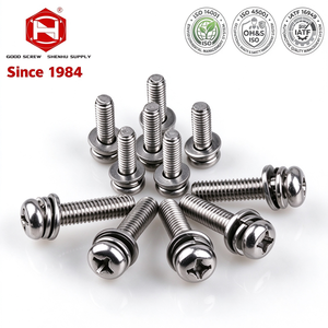 Tornillo de Cabeza Cilíndrica Pequeña con Arandela Plana y Arandela de Resorte, Niquelado, Métrico M3, Rosca Gruesa, Clase 8.8 - Product Image 1