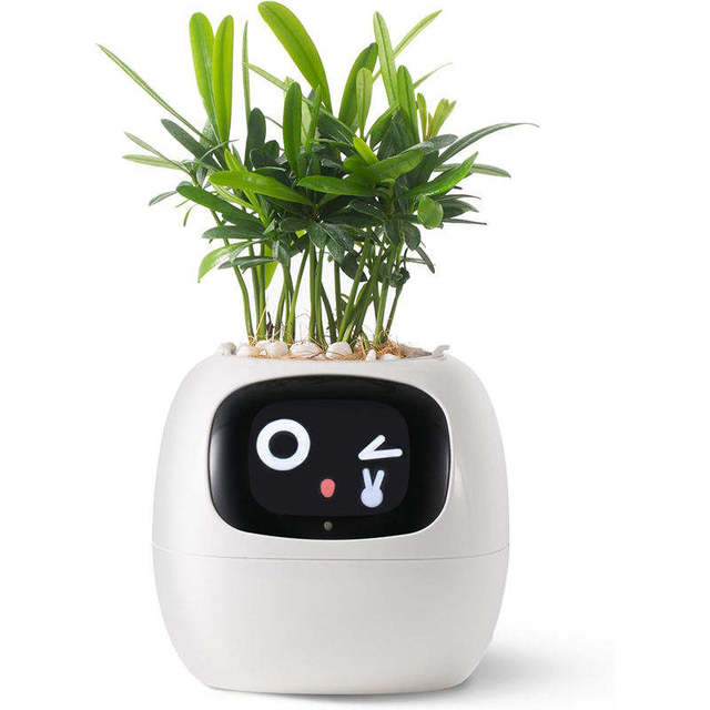Ivy AI Smart Plant Pot Expression Intelligent Planter Robot Houseplants Commercial Plantagotchi Home Decor