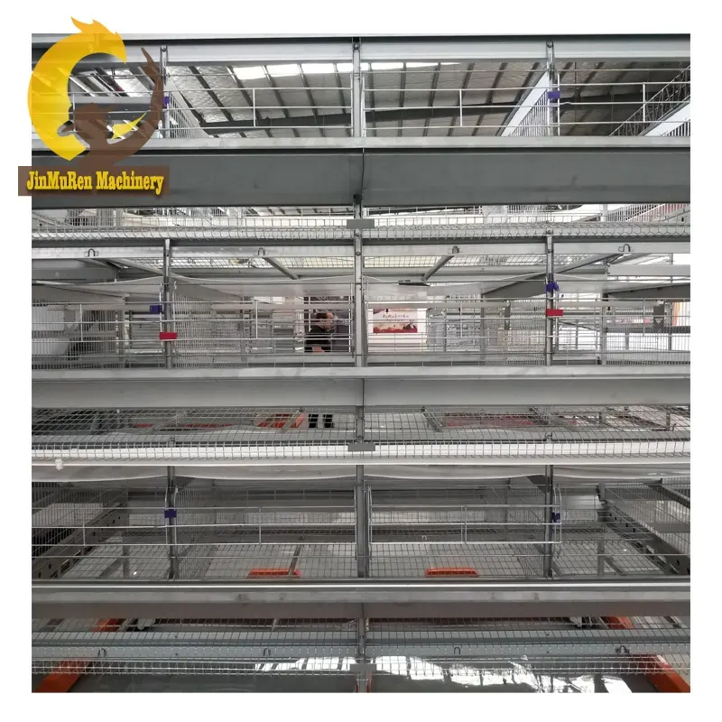 Jinmuren chicken farm project automatic chicken cage battery cage manufacturer