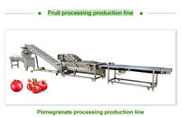 Professionele Industriële Elektrische Automatische Commerciële Gebruik Appel/Banaan/Mango Fruit En Groentesap Verwerking Machine Juicer