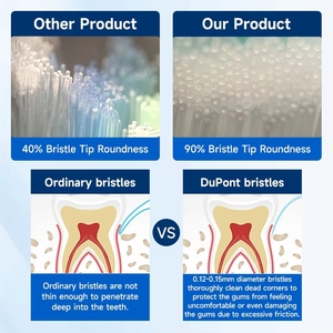 Têtes de brosse à dents colorées EB10T pour enfants, vente en gros Baolijie, pour soins bucco-dentaires - Product Image 4