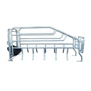 Hot Selling Product Galvanized Pig Farm Swine Pen And Stall Equipment