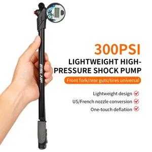 High Pressure 300PSI Cycle Air Suspension Fork Pump Portable Front Rear Fork Pump with Gauge