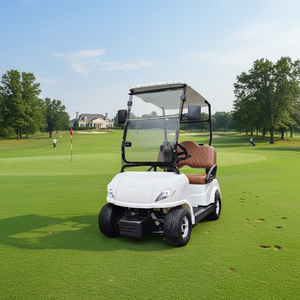 Carrito <span class=keywords><strong>de</strong></span> Golf <span class=keywords><strong>de</strong></span> Alta Calidad con Batería <span class=keywords><strong>de</strong></span> Litio y Aluminio para Dos Personas, 2 Asientos, Scooter <span class=keywords><strong>de</strong></span> Movilidad Profesional - Product Image 6