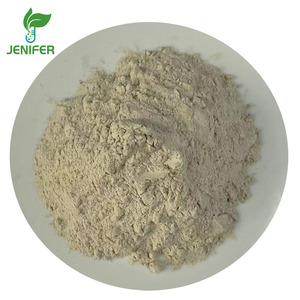 Poudre de <span class=keywords><strong>Saccharomyces</strong></span> <span class=keywords><strong>Boulardii</strong></span> de qualité alimentaire pure, 20 milliards d'UFC - Product Image 2