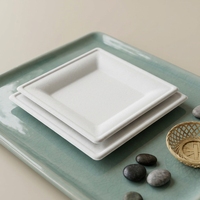 Assiettes jetables rondes blanches en bagasse de canne à sucre, minimalistes, écologiques, pour la rentrée scolaire