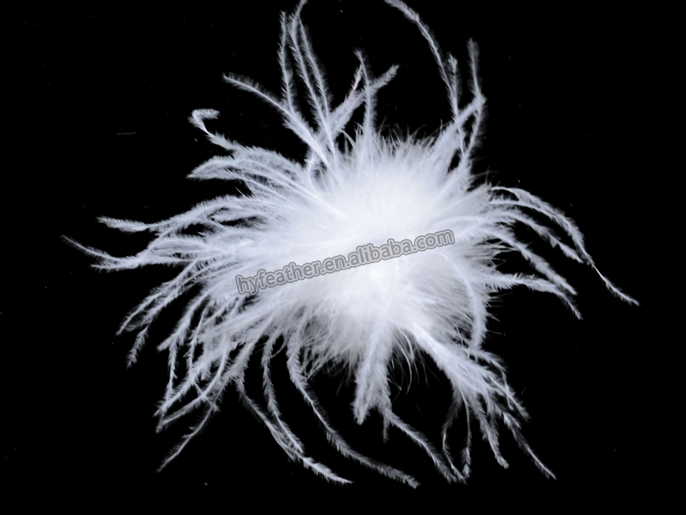 White 1 MOQ;15pcs/color