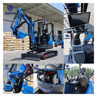 Mini excavatrice Rippa 2,5 tonnes mini excavatrice EPA CE de l'usine chinoise mini excavatrice de terrassement mini excavatrice bon marché de machine