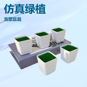Pot de fleurs carré en plastique Paulon blanc 5,5 cm avec mousse pour la décoration intérieure et la plantation sur bureau - Product Image 5