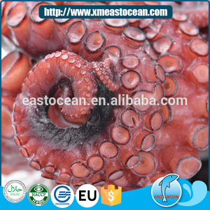 Nuevo <span class=keywords><strong>Pulpo</strong></span> Entero Limpio y <span class=keywords><strong>Vivo</strong></span>, Congelado IQF, Listo para <span class=keywords><strong>Comer</strong></span>, Mariscos Congelados en Venta, Indonesia, Empaque Personalizado, Bolsa de Polietileno Estilo Flor - Product Image 6