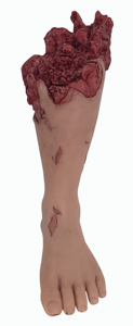 Modelo anatómico forense de extremidades inferiores y piernas para fines médicos y médicos - Product Image 3