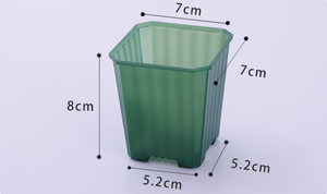 Offerta Speciale: Vasi Quadrati Trasparenti da 7cm (2,75 pollici) per Piante Grasse, <span class=keywords><strong>Cactus</strong></span> e Fiori - Contenitori Resistenti per Vivaio e Giardino - Product Image 3