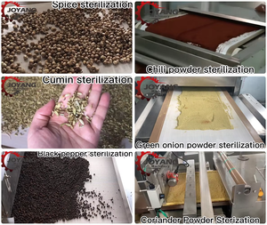 Machine de séchage et de stérilisation industrielle à micro-ondes en tunnel continu pour la cannelle, les épices, les poudres d'assaisonnement et les granulés, certifiée CE - Product Image 3