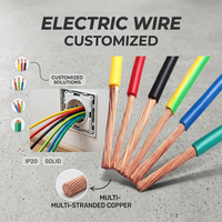 Kabel Tembaga BVR Berlilit Fleksibel PVC Coil IP20 450/750V untuk Kontrol Lampu Sinyal Lalu Lintas, Interseksi, Gerai Tol, dan Pengkabelan Pinggir Jalan