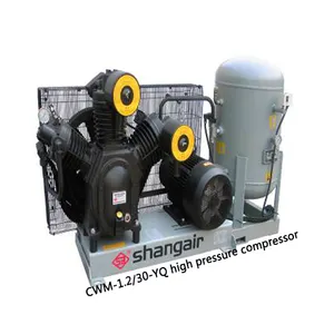 CWM-1.2/30-YQ high pressure compressor for blowing machine