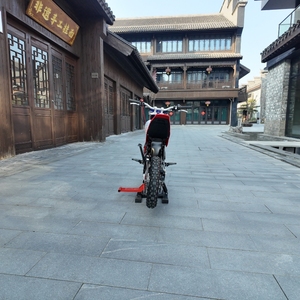 Vélo de Trail Électrique RFN SX-E350 pour Enfants, Batterie au Lithium Centrale, Double Suspension, Freins à Disque, Pneus de 12 Pouces, Écologique, Léger, Tout-Terrain - Product Image 5