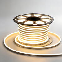 Bande lumineuse LED néon flexible découpable, étanche IP65, SMD2835, PVC, 12V/24V & 110V/220V, couleur personnalisée