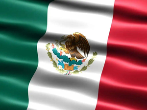 Gahumi Barato de alta calidad nacional mexicano 3X5 o elección de tamaño personalizado para volar o sostener la bandera mexicana - Product Image 5