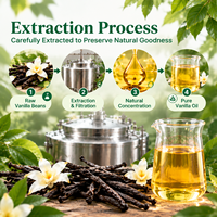 Huile parfumée à la vanille à parfum intense et longue durée pour la fabrication de bougies et de parfums en vrac de 1 kg