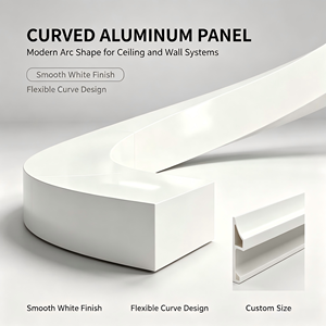 Mur rideau en aluminium courbé contemporain, panneau unique, revêtement poudré, étanche, pour extérieur de villa - Product Image 1