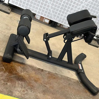 Meilleure qualité réglable en acier formateur multifonctionnel chaise romaine pour Gym Fitness personnalisé en gros dos Extension formateur banc