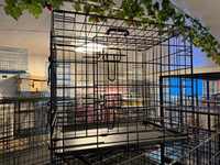 Cage pliable pour grand chien sans fond, cage pour animaux de compagnie robuste à double porte pour chiens et chats, transporteur portable avec portes supérieures et latérales