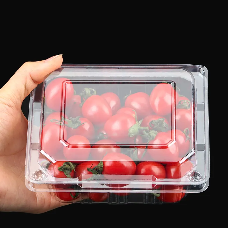 Disposable Plastic Fruit Container 125G 250G 500G Blister Disposable Clear Plastic Packing Berry Strawberry Blueberry Clamshell Box Fruit Packaging Container