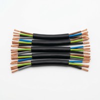 Câble de commande électrique flexible RVV 300V 6 AWG isolé en PVC cuivre pour équipement industriel et alimentation électrique