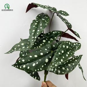 Verdure artificielle feuille suspendue bégonia plante tropicale <span class=keywords><strong>plantes</strong></span> traînantes verdure <span class=keywords><strong>pour</strong></span> la maison salle de bain <span class=keywords><strong>balcon</strong></span> mur automne décoration - Product Image 3