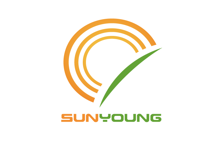 Shanghai Sunyoung Biz-Solution Co., Ltd.