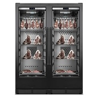 1 an de garantie Humidité 65-80% a Réfrigérateur pour le vieillissement de la viande Armoire de maturation à sec Congélateur pour boeuf