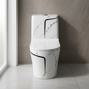 Modern Ceramic One-Piece Water Closet Toilet with Black Decorative Lines - S/P Trap, Made in China, Bathroom Sanitary Wares WC - Product Image 3