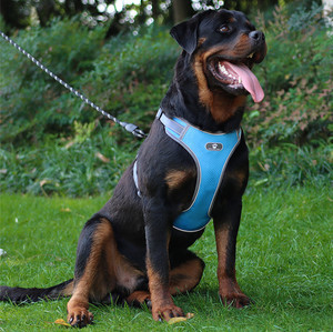 Amazon 2024 New Reflective Oxford meistverkaufte Hundeprodukte, kein Ziehen Hund Abenteuer Geschirr Frontclip schwerlast - Product Image 4