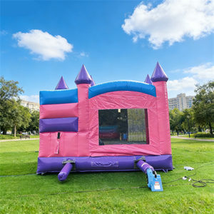 Combo de Tobogán y Brincolín Inflable Comercial, Castillo Inflable para Niños, <span class=keywords><strong>Jumper</strong></span>, Casa de Brinco, Alquiler para Fiestas - Product Image 4