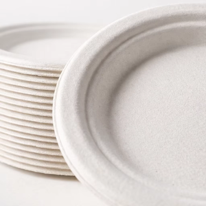 Platos de Papel Biodegradables de Bagazo de Caña de Azúcar de 9 Pulgadas, Desechables, Compostables, Ecológicos, Aptos para Alimentos, Aptos para Microondas - Product Image 2