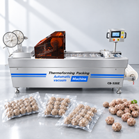 Machine d'emballage de boulettes de viande pour usine d'aliments surgelés avec technologie de mise sous vide avancée et performance de production efficace