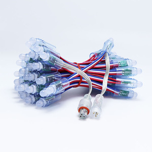 DC12V <span class=keywords><strong>WS2811</strong></span> <span class=keywords><strong>LED</strong></span>ライトIP68防水ガーデン<span class=keywords><strong>LED</strong></span>ストリングライト - Product Image 6