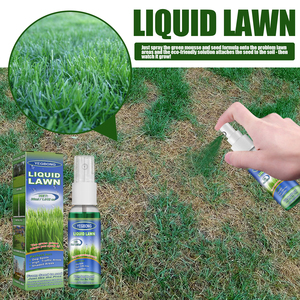 Yegbong concentrato di soluzione nutritiva Spray verde prato per cortile all'aperto campo da calcio erba crescita pianta cibo - Product Image 2