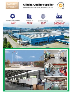 Nhà sản xuất 300 mm giả mạo bằng chứng rõ ràng thu nhỏ nhãn an toàn có thể điều chỉnh con dấu Nhựa Tùy Chỉnh con dấu xe tải nhựa - Product Image 6