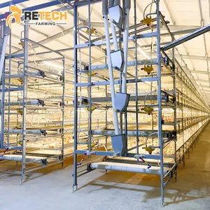 Design <span class=keywords><strong>Modern</strong></span> Poultry Farm Automático Galvanizado 4 Tiers H Tipo Broiler Chicken Cage - Product Image 1
