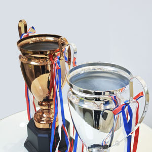 定制珐琅奖杯 - 适合马拉松/体操/团队比赛的个性化设计 - Product Image 3