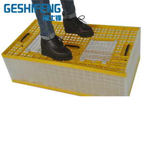 Gabbia per uccelli pieghevole fantasia per il trasporto di piccioni pappagalli uccelli gabbia di trasporto in plastica pieghevole - Product Image 3