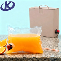 Dispensador de Líquidos en Bolsa (BIB) Reutilizable de 1L, 3L, 5L con Válvula Vitop para Vino, Café y Bebidas, Grado Alimenticio, OEM, Venta al Por Mayor Personalizada
