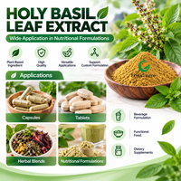 Poudre d'extrait de feuille de basilic sacré Fruiterco 10:1 20:1 Matière première botanique Tulsi en vrac