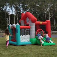 Toboggan Gonflable Commercial Requin avec Structure Rebondissante, Château Gonflable Humide/Sec avec Palmier pour Location d'Événements en Jardin