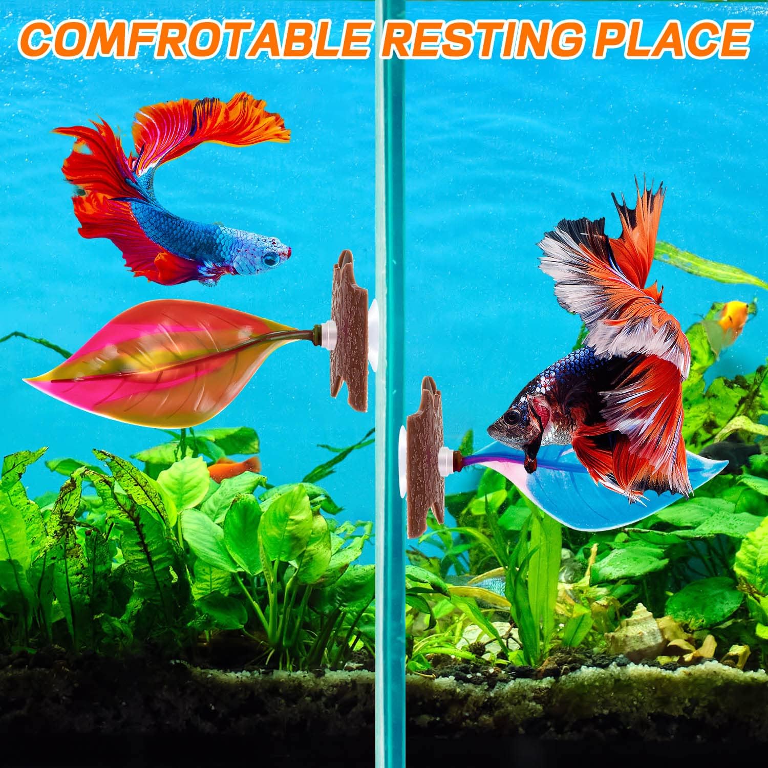 betta fish accessories Tank Kit, 2.5 Gallon Aquarium Self-Cleaning with LED Light, Filter, Heater, Decorations and There are two including Betta 6 Premium Aquarium Kit