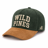 Cappellino da Baseball in Camoscio a 5 Pannelli con Logo Personalizzato, Visiera Curva Bicolore, Lettere Ricamate 3D in Rilievo, Non Strutturato, Sportivo, Verde Foresta e Beige